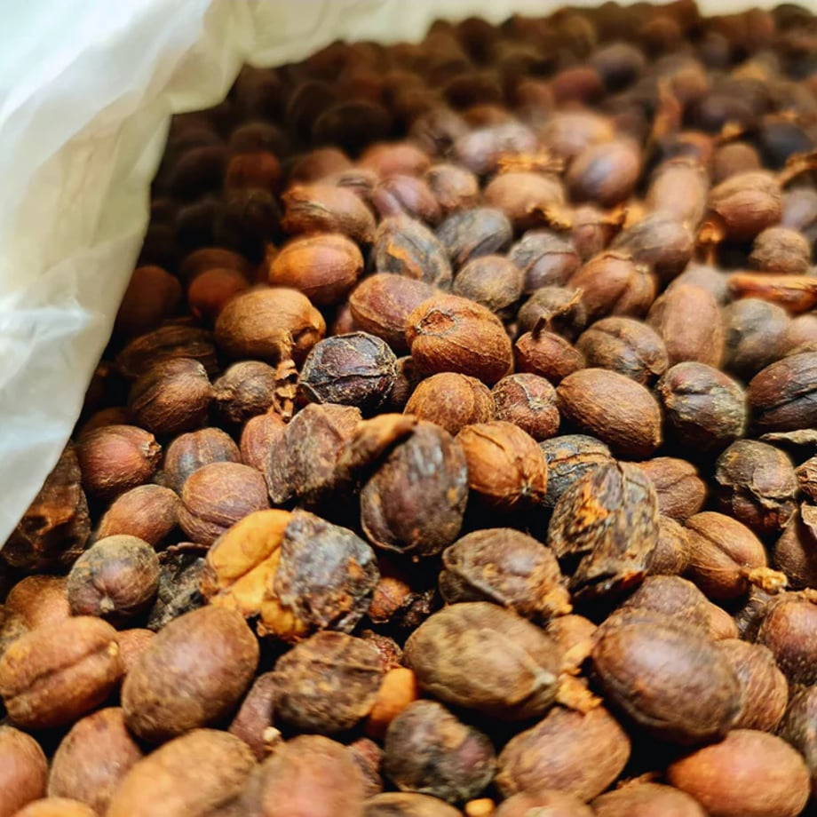 フアイ・チョンプ - Image 4