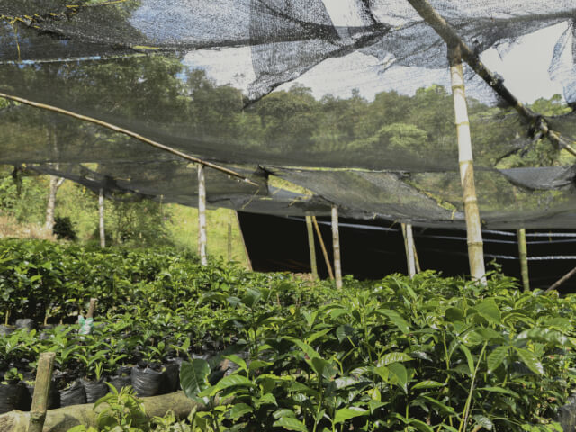 フアン・マルティン - Image 3