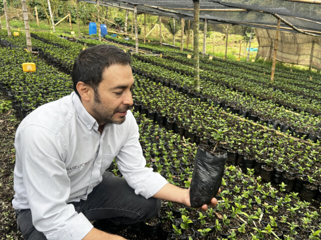 フアン・マルティン - Image 2