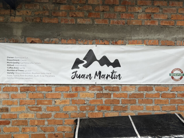 フアン・マルティン - Image 4