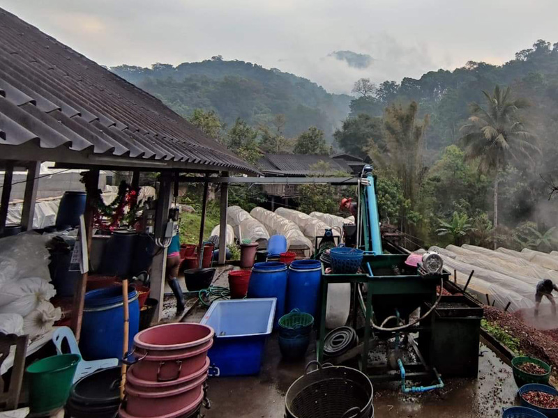 ドイ・サケット - Image 3