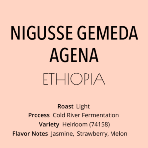 ニグセ・ゲメダ アゲナ